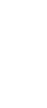 Zona Norte